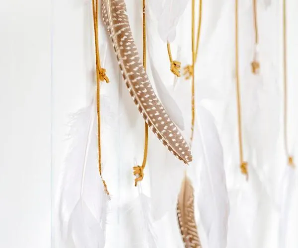 Bed and breakfast So Rosie