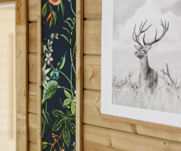 Bed and breakfast So Rosie Babberich