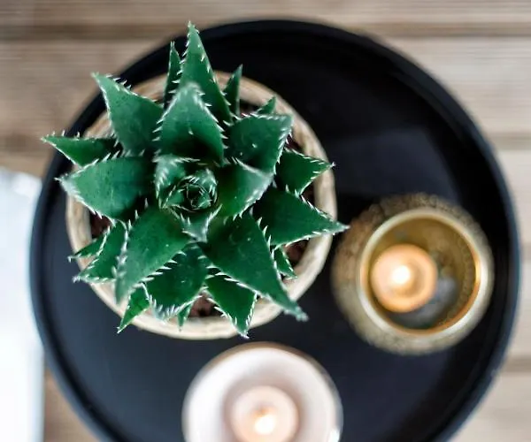 So Rosie 3* Babberich