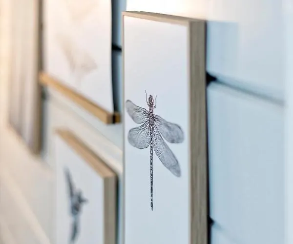 So Rosie Nocleg ze śniadaniem Babberich